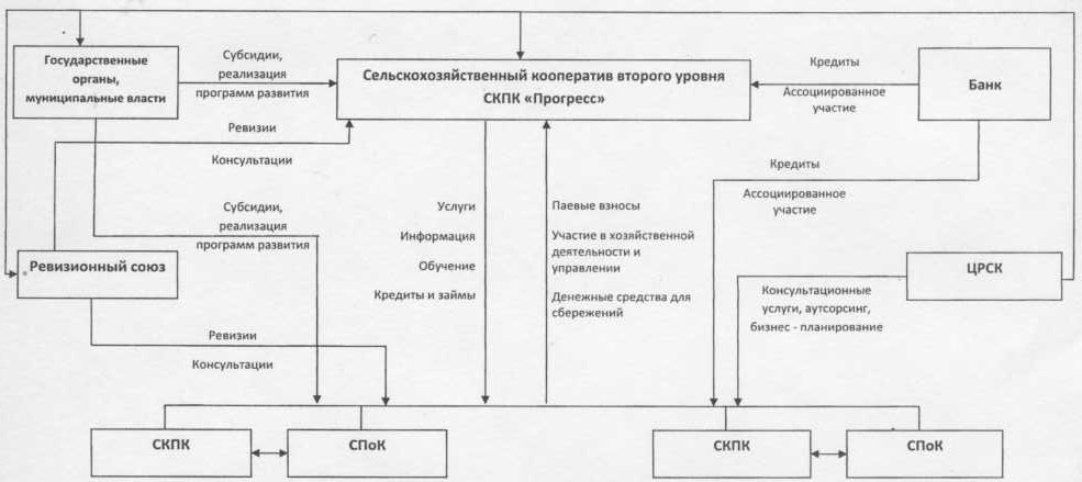 Модель системы сельскохозяйственной кредитной потребительской кооперации Пензенской области